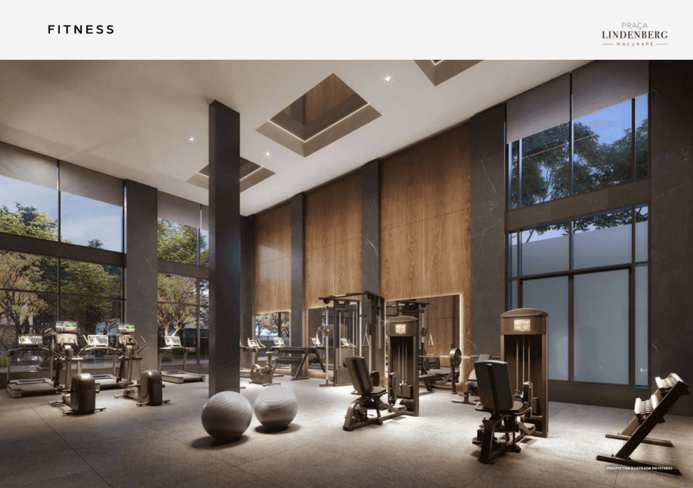 Galeria 29